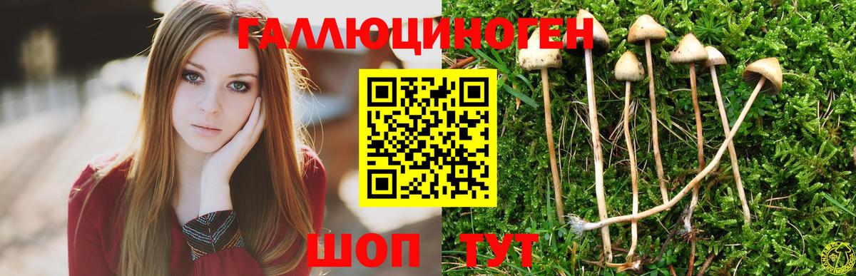 Новоалтайск  Псилоцибиновые грибы MAGIC MUSHROOMS  Вход с VPN 